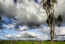 巴黎外围女预约